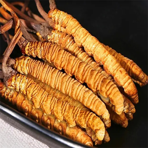 驻马店回收冬虫夏草