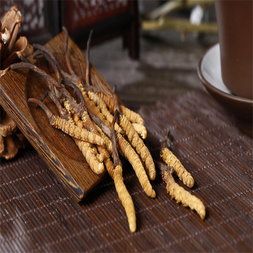 驻马店回收冬虫夏草