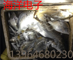 大功率捕鱼器供应、大功率捕鱼器价格 