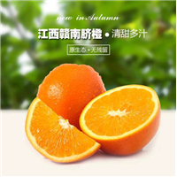 赣州脐橙|赣南脐橙