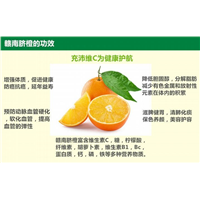 石城脐橙|江西脐橙批发