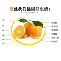 赣州脐橙|赣南脐橙