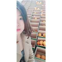 赣州脐橙批发|石城脐橙批发
