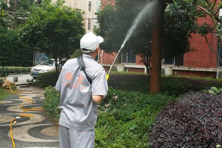 石狮绿然白蚁防治服务中心-石狮白蚂蚁防治 