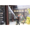 永春白蚁治理 
