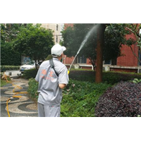 石狮绿然白蚁防治服务中心-石狮白蚂蚁防治 