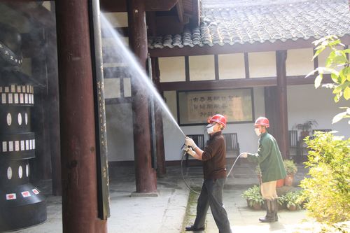 永春白蚁治理 