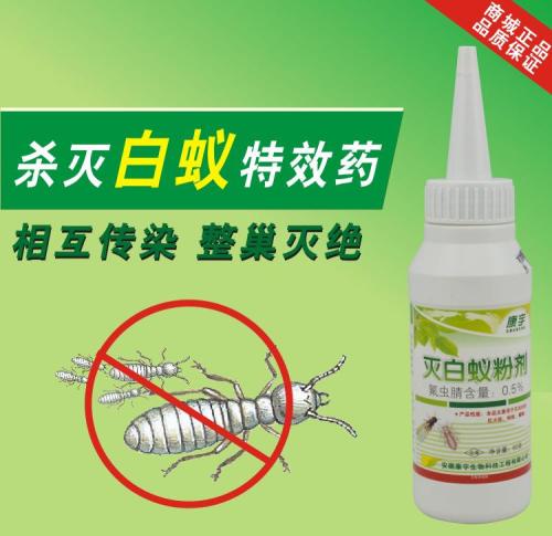 南安白蚂蚁防治|热线：13655956677 