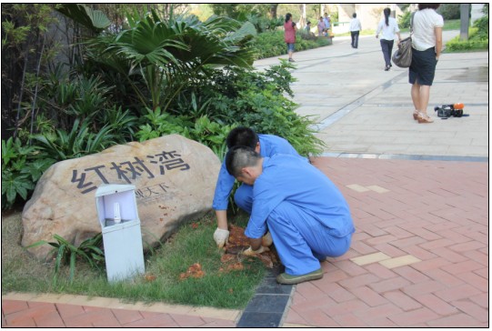 福建白蚁|联系方式：13655956677 