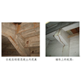 福建白蚁 