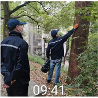湖州清波灭鼠杀虫 