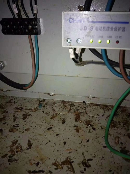 湖州杀虫灭鼠 