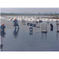 重庆防水公司/重庆专业防水/重庆防水5