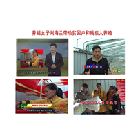 蝎子养殖/蝎子批发供应/蝎子回收