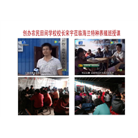 蝎子养殖供应蝎子批发