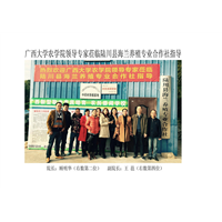 蝎子/蝎子一下培训