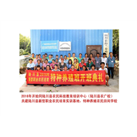 蝎子供应蝎子养殖回收蝎子养殖合同