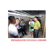广西蝎子养殖/南宁蝎子/梁副县长在调研