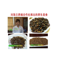 广西蝎子养殖诚寻柳州贺州养殖合作户