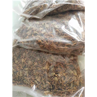 广西蝎子玉林代理/广西蝎子贵港经销*广西蝎子梧州加盟 