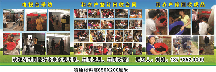 玉林海兰特种养殖合作社宣传海报