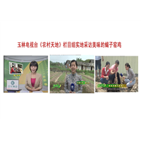 广西蝎子养殖培训诚寻桂林柳州养殖合作户