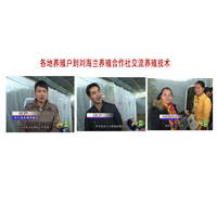 蝎子养殖回收/蝎子养殖培训