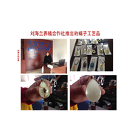 广西蝎子养殖诚寻来宾崇左蝎子养殖合作户