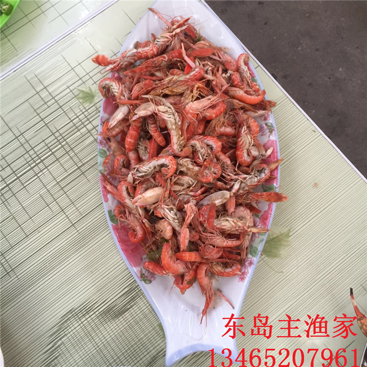 东岛主渔家