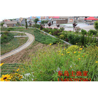鸡鸣岛渔家乐