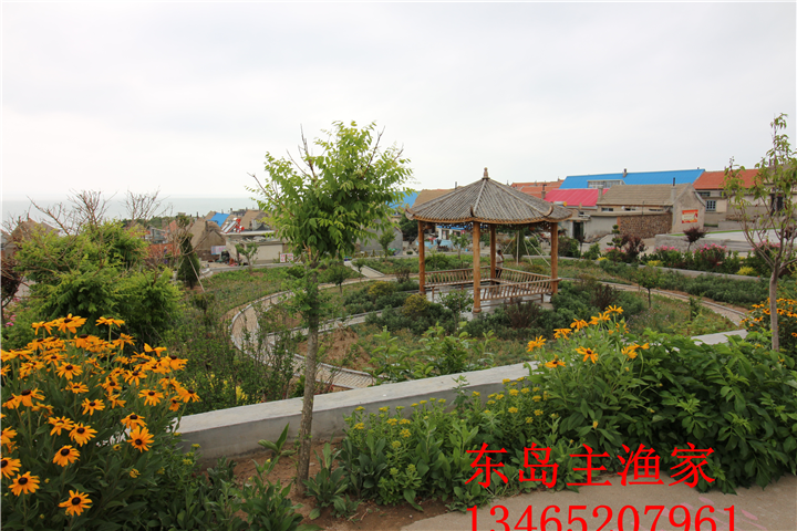 鸡鸣岛渔家乐