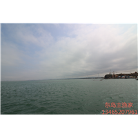 鸡鸣岛渔家乐