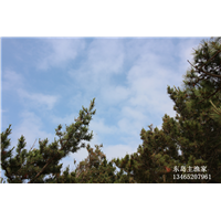 鸡鸣岛渔家乐