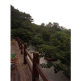 鸡鸣岛爸爸去哪儿鸡鸣岛渔家乐
