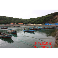 鸡鸣岛渔家乐