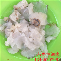 东岛主渔家