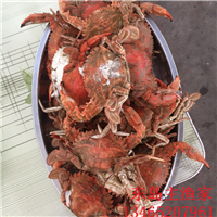 东岛主渔家