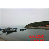 鸡鸣岛渔家乐