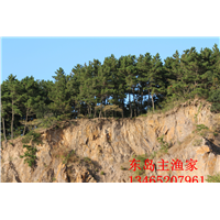 鸡鸣岛渔家乐