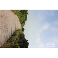 鸡鸣岛渔家乐