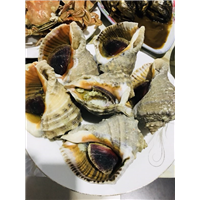 鸡鸣岛渔家乐&鸡鸣岛美食 