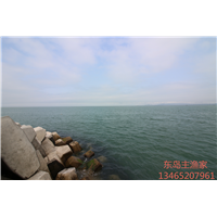 鸡鸣岛渔家乐