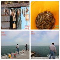 鸡鸣岛渔家乐 