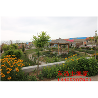 鸡鸣岛渔家乐