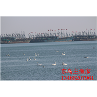 鸡鸣岛渔家乐