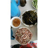 东到主渔家