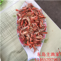 东岛主渔家