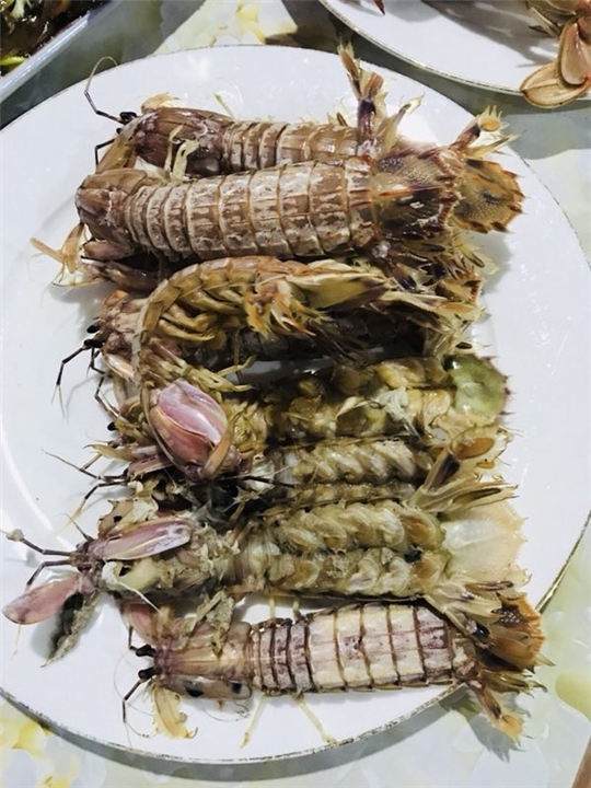 鸡鸣岛渔家乐&鸡鸣岛美食 