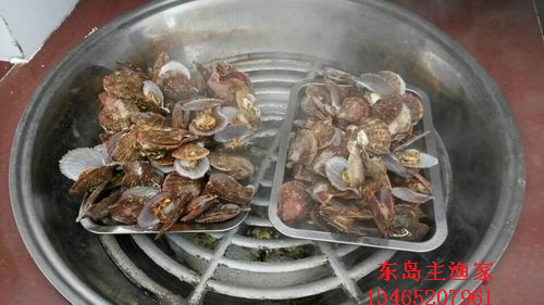 东岛主渔家