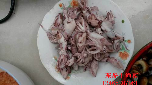 东岛主渔家